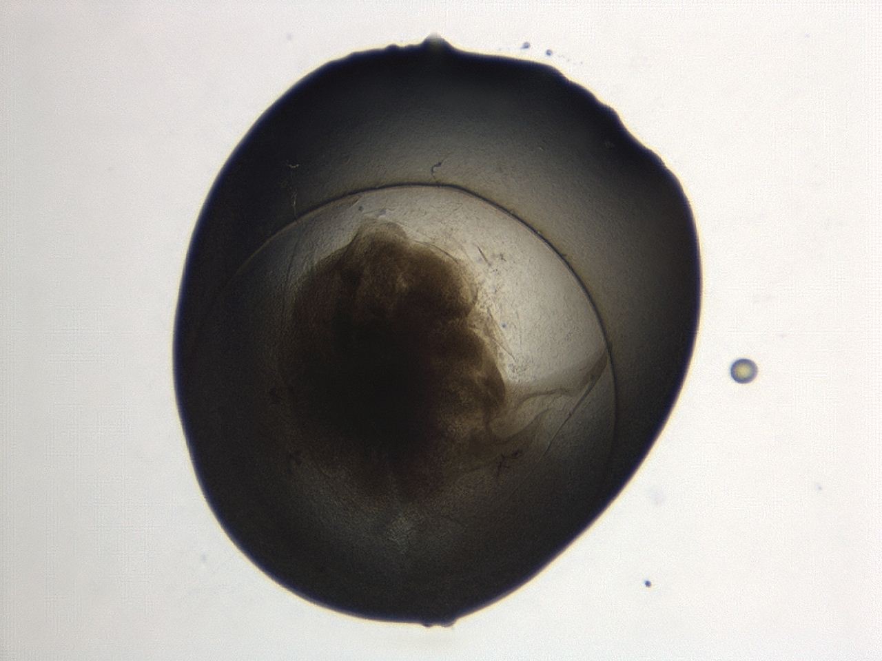 04cp_A12_ImagerDefaults_3.jpg