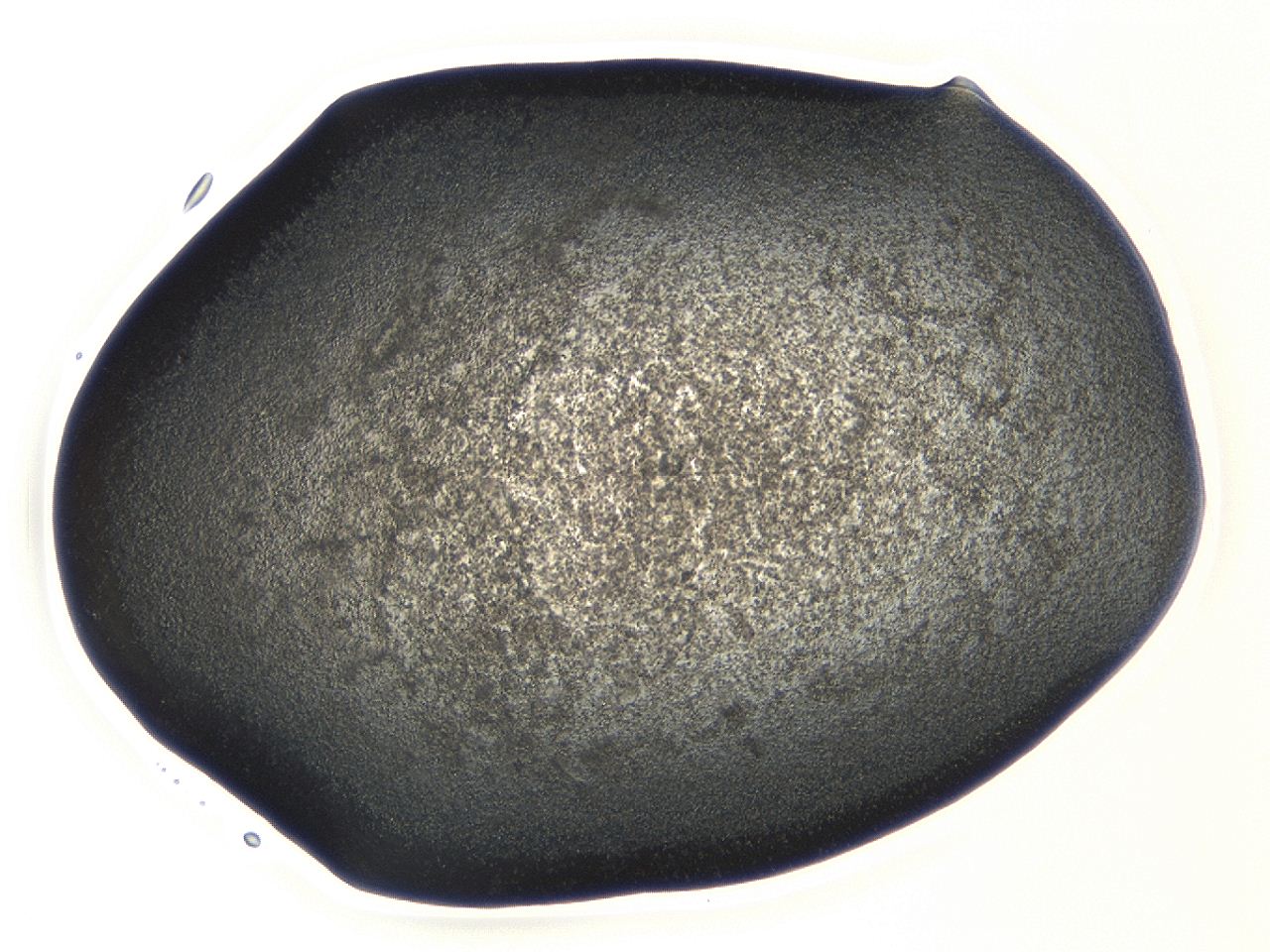 04cp_A1_ImagerDefaults_3.jpg