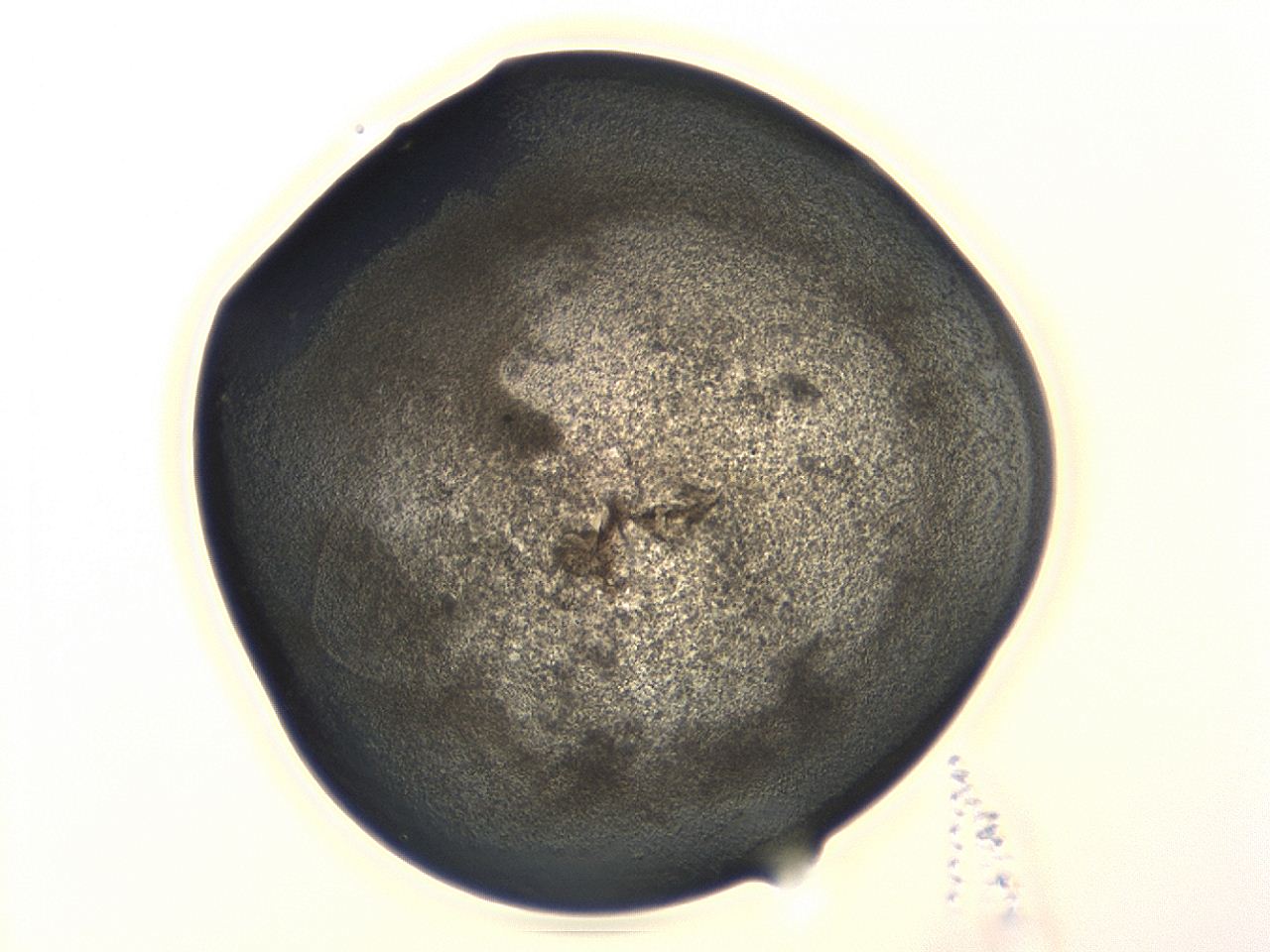 04cp_A2_ImagerDefaults_3.jpg