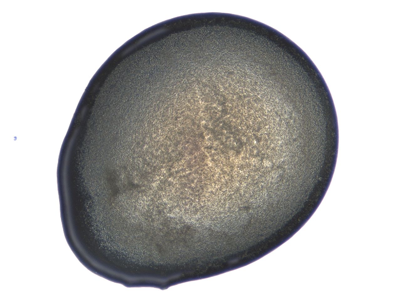 04cp_A3_ImagerDefaults_3.jpg