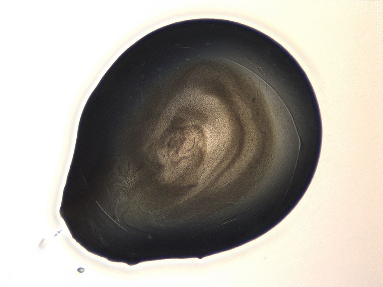 04cp_A4_ImagerDefaults_3.jpg