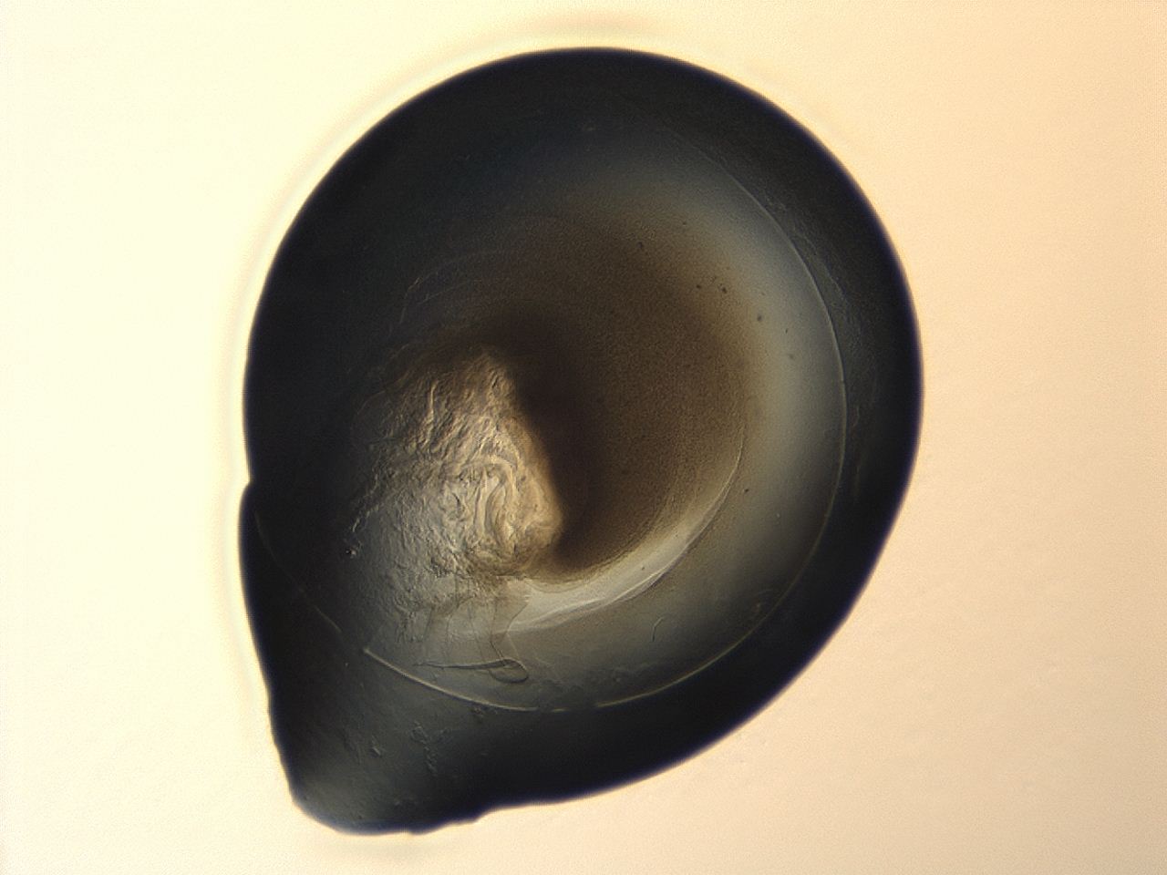 04cp_A5_ImagerDefaults_3.jpg