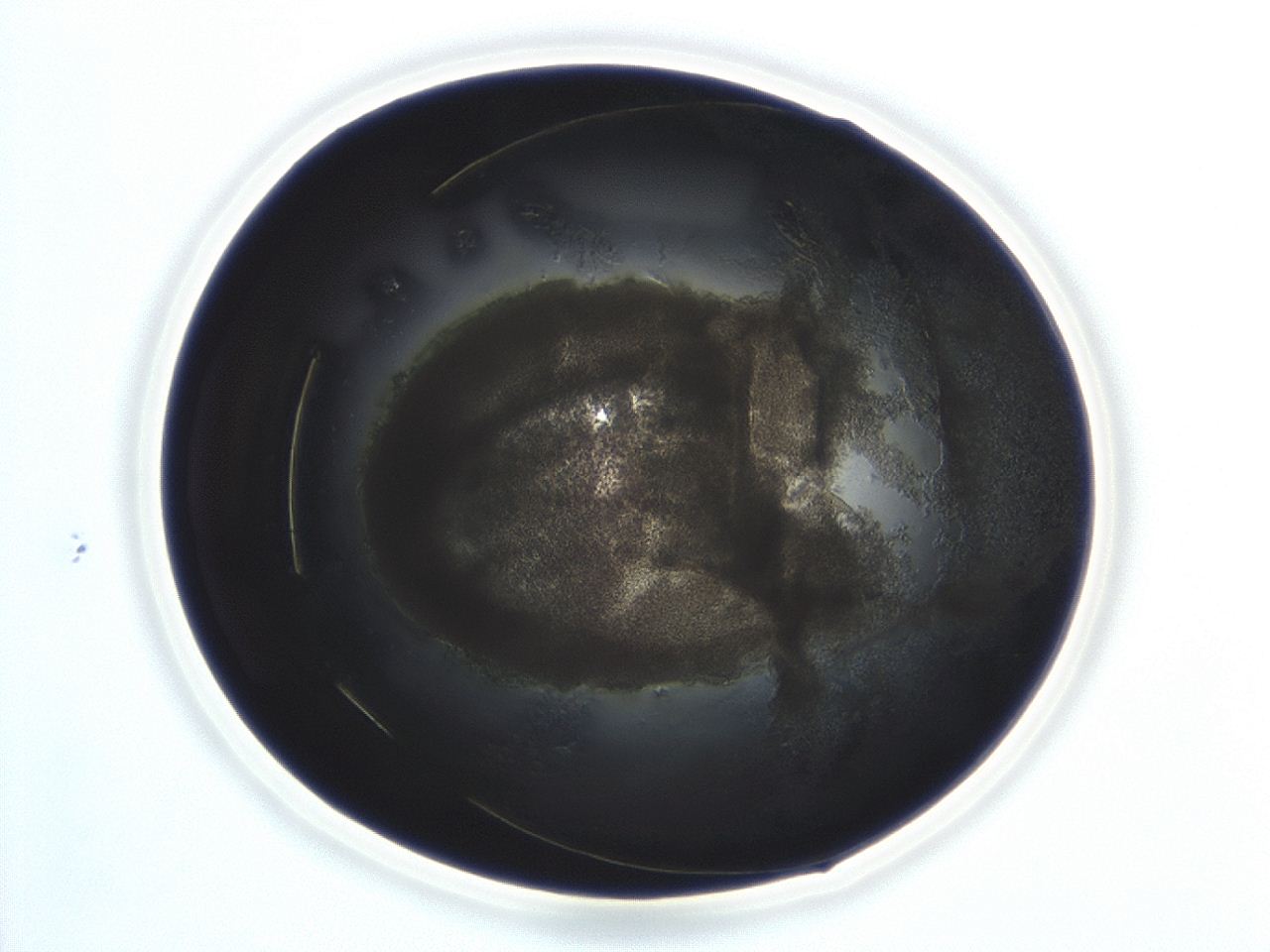 04cp_D10_ImagerDefaults_3.jpg