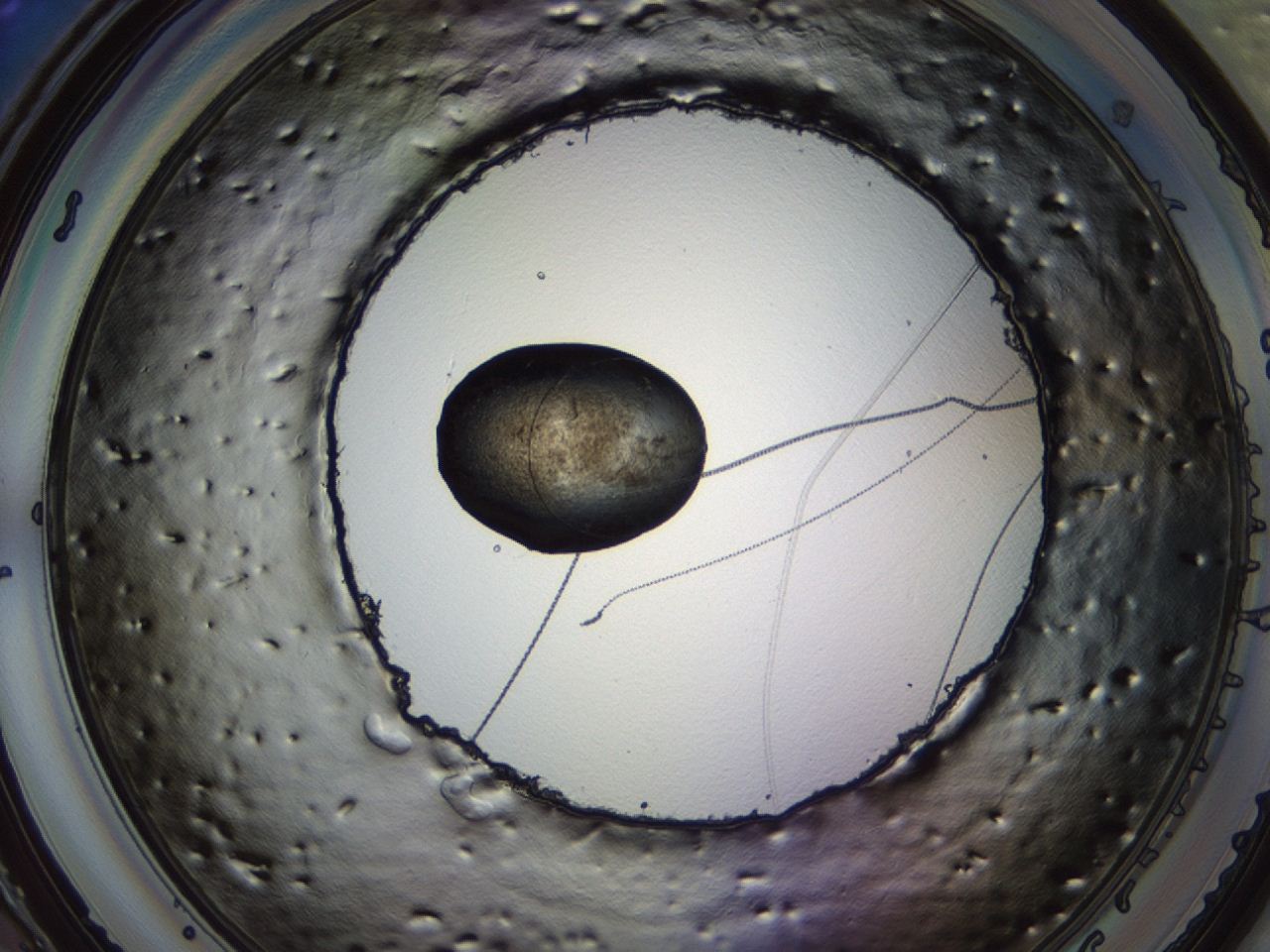 04cp_D11_ImagerDefaults_3.jpg