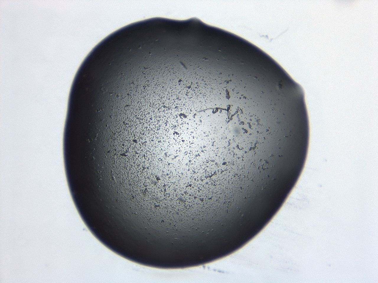 04cp_C1_ImagerDefaults_3.jpg
