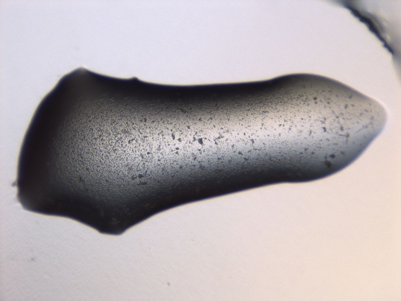 04cp_C2_ImagerDefaults_3.jpg