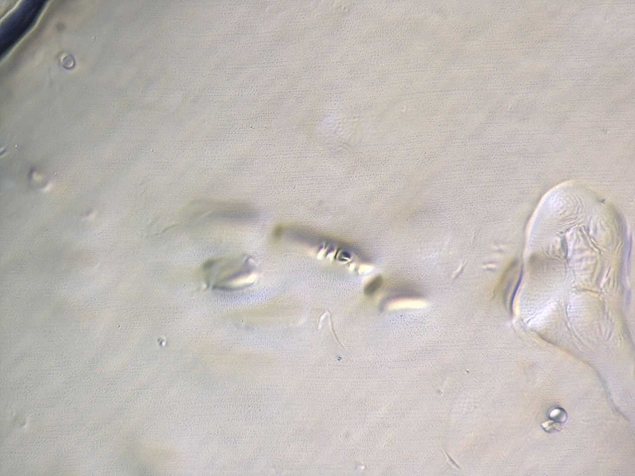 04cp_C5_ImagerDefaults_3.jpg
