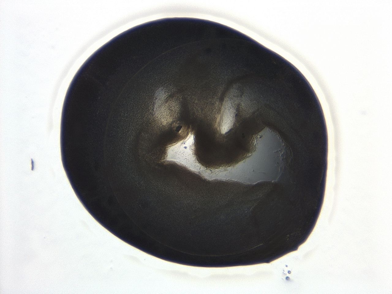 04cp_C8_ImagerDefaults_3.jpg