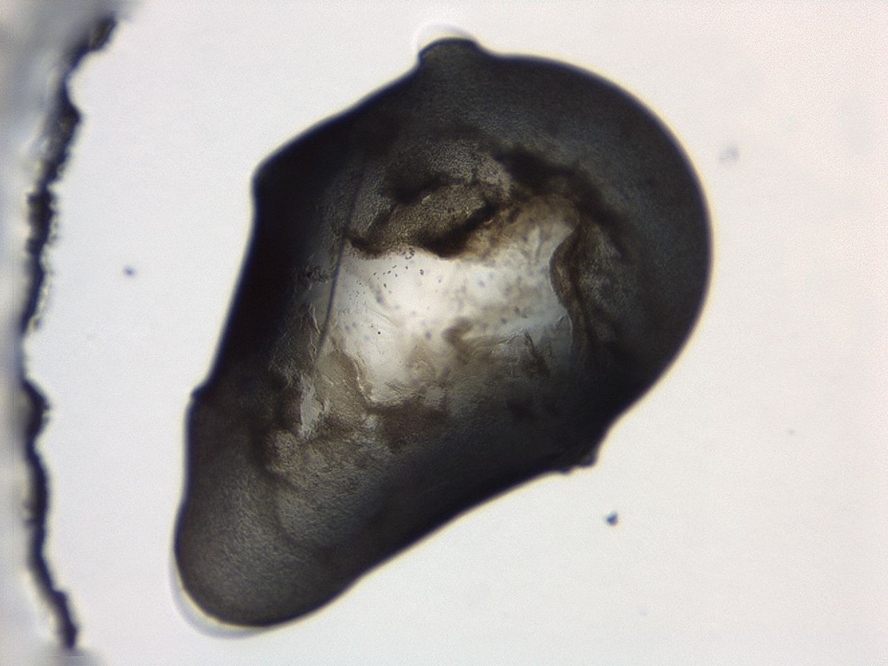 04cp_C12_ImagerDefaults_3.jpg