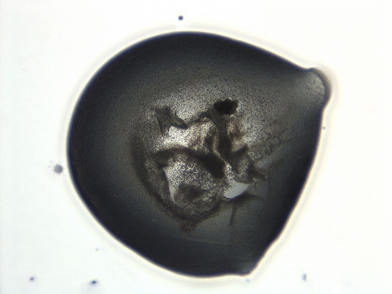 04cp_D1_ImagerDefaults_3.jpg