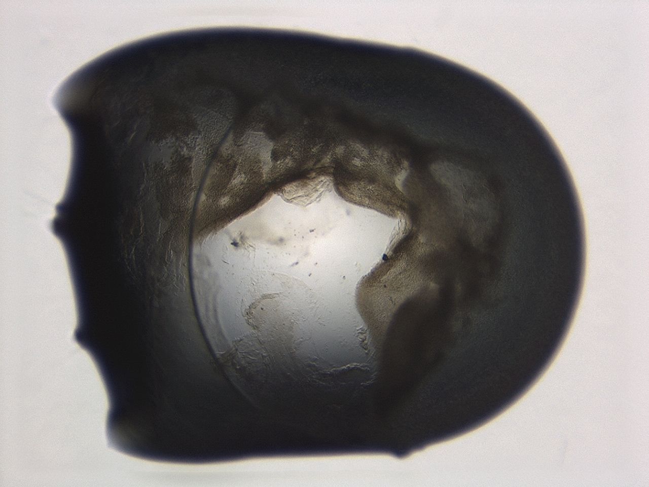 04cp_D12_ImagerDefaults_3.jpg