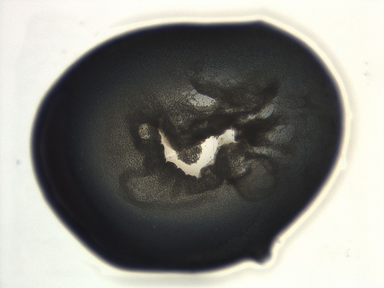 04cp_E1_ImagerDefaults_3.jpg