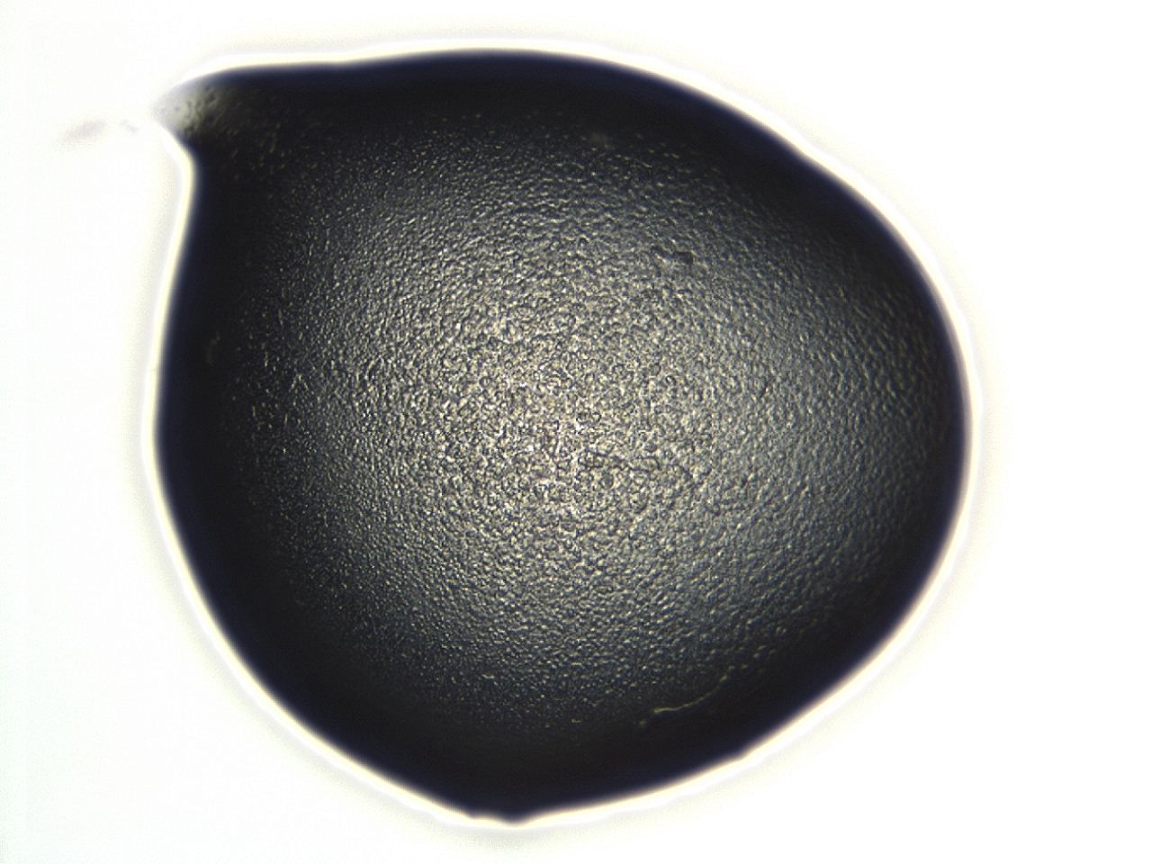 04cp_E3_ImagerDefaults_3.jpg