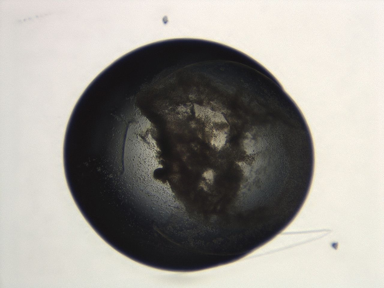 04cp_E11_ImagerDefaults_3.jpg