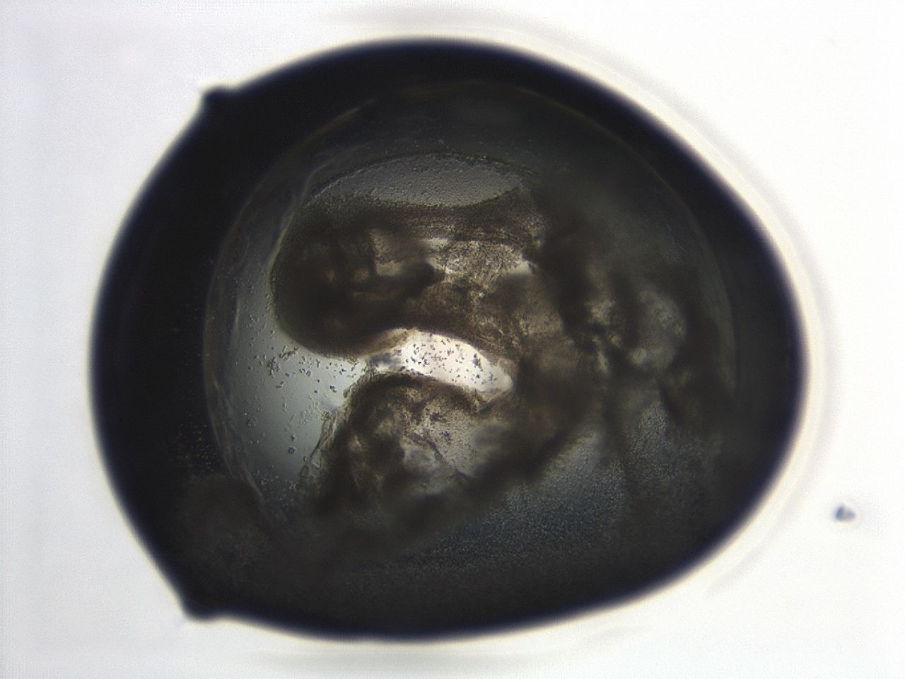 04cp_E12_ImagerDefaults_3.jpg