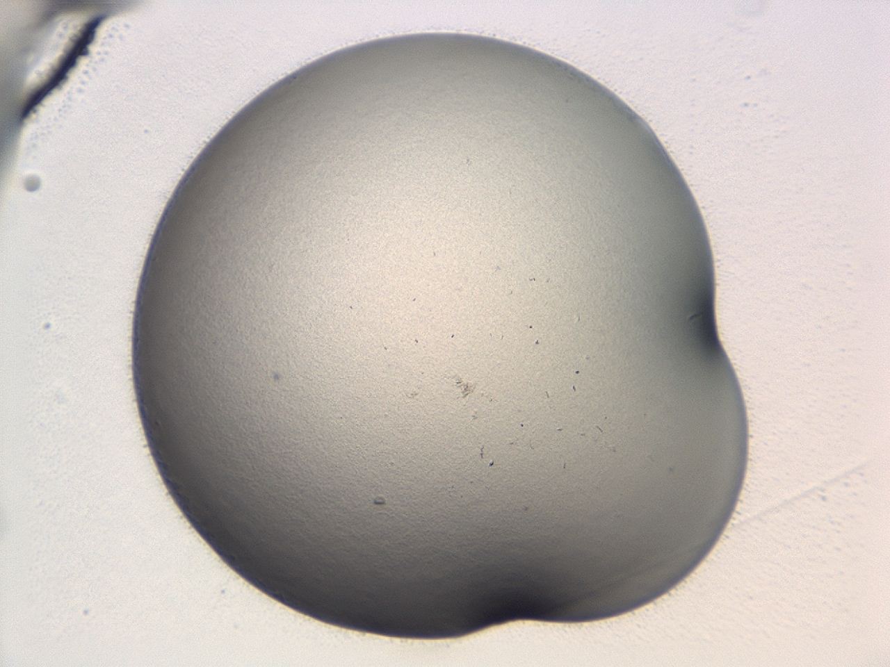04cp_B10_ImagerDefaults_0.jpg