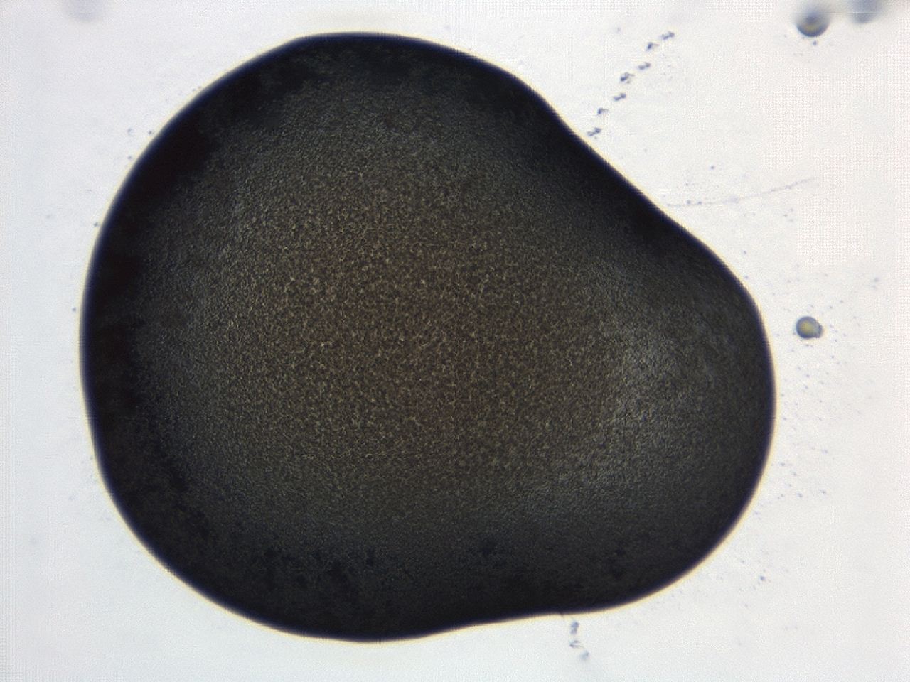 04cp_B11_ImagerDefaults_3.jpg