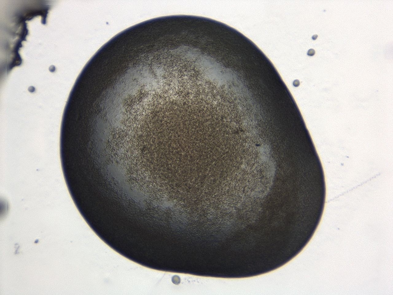04cp_B12_ImagerDefaults_3.jpg