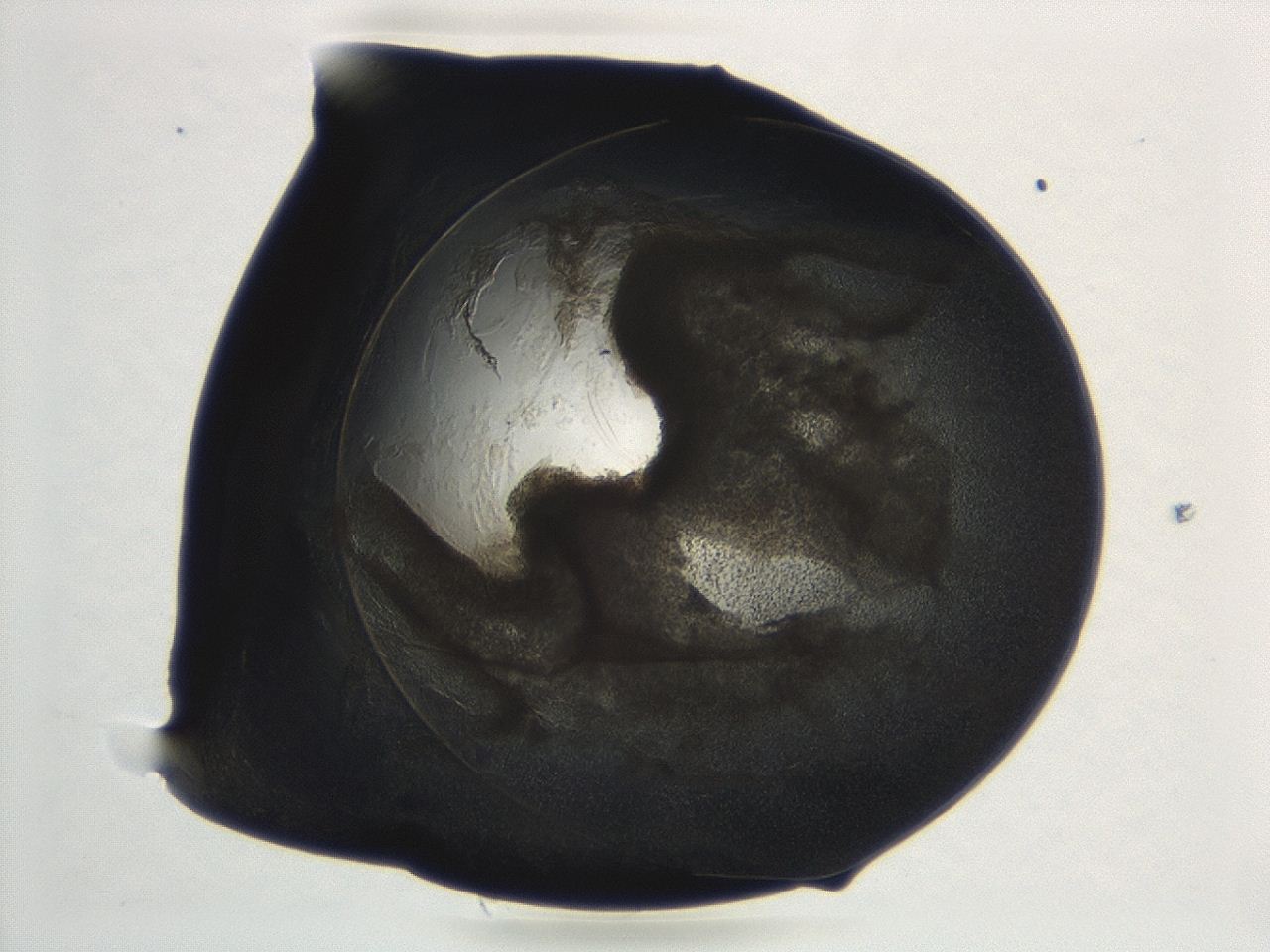 04cp_D9_ImagerDefaults_3.jpg