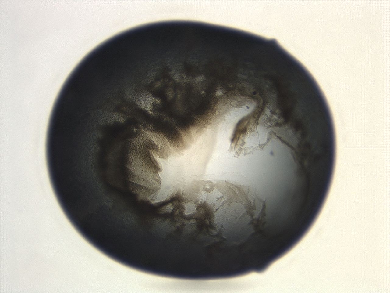 04cp_F1_ImagerDefaults_3.jpg