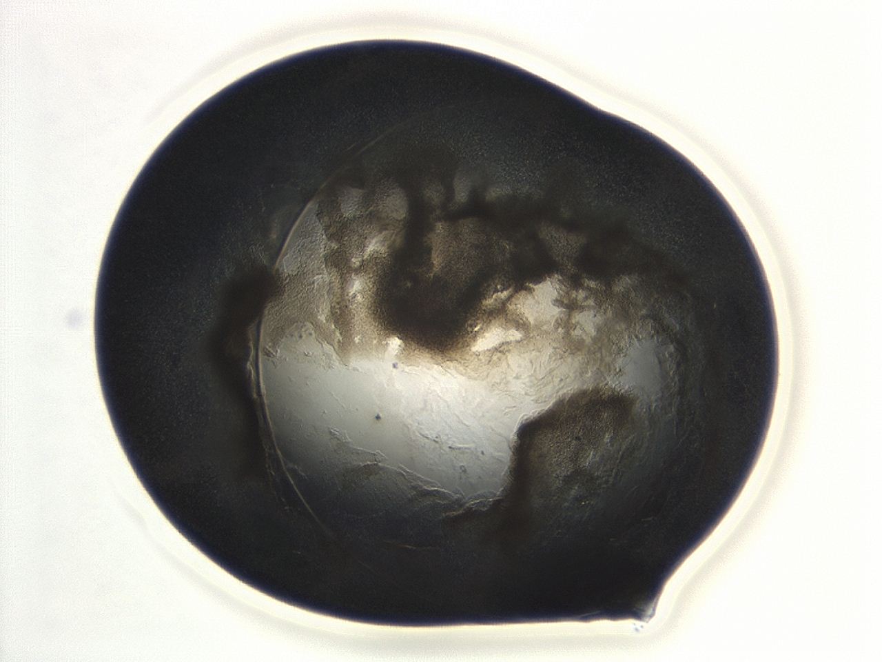 04cp_F9_ImagerDefaults_3.jpg