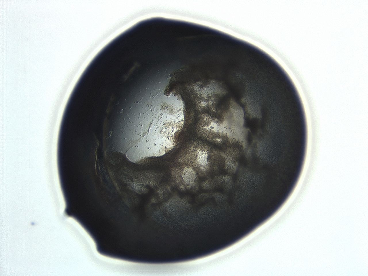 04cp_F10_ImagerDefaults_3.jpg