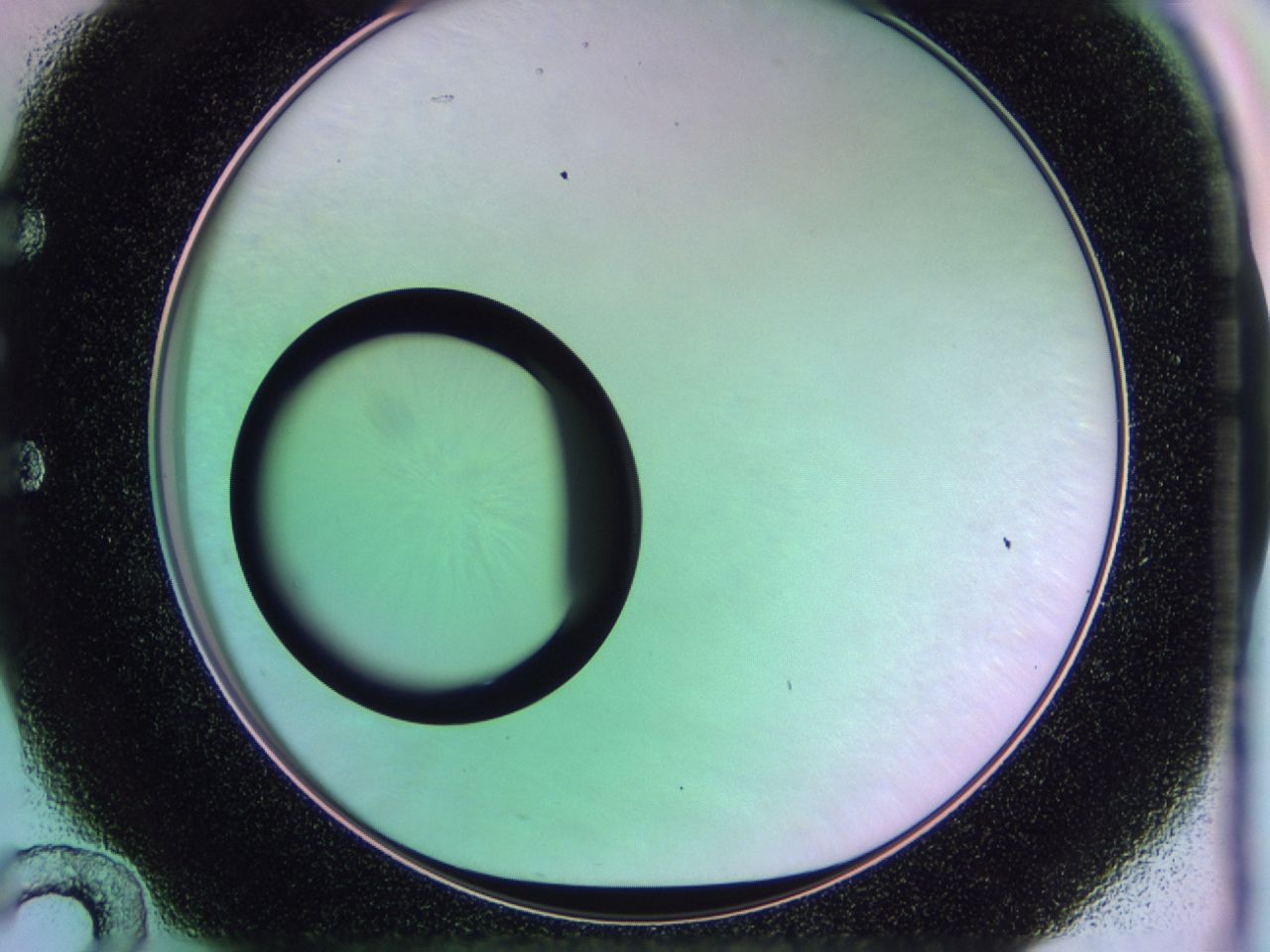 0170_E12_ImagerDefaults_0.jpg