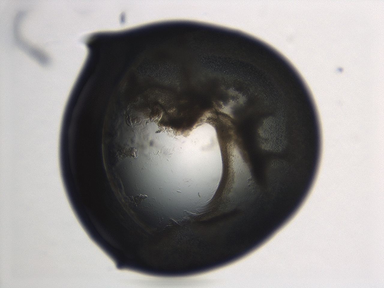 04cp_F12_ImagerDefaults_3.jpg