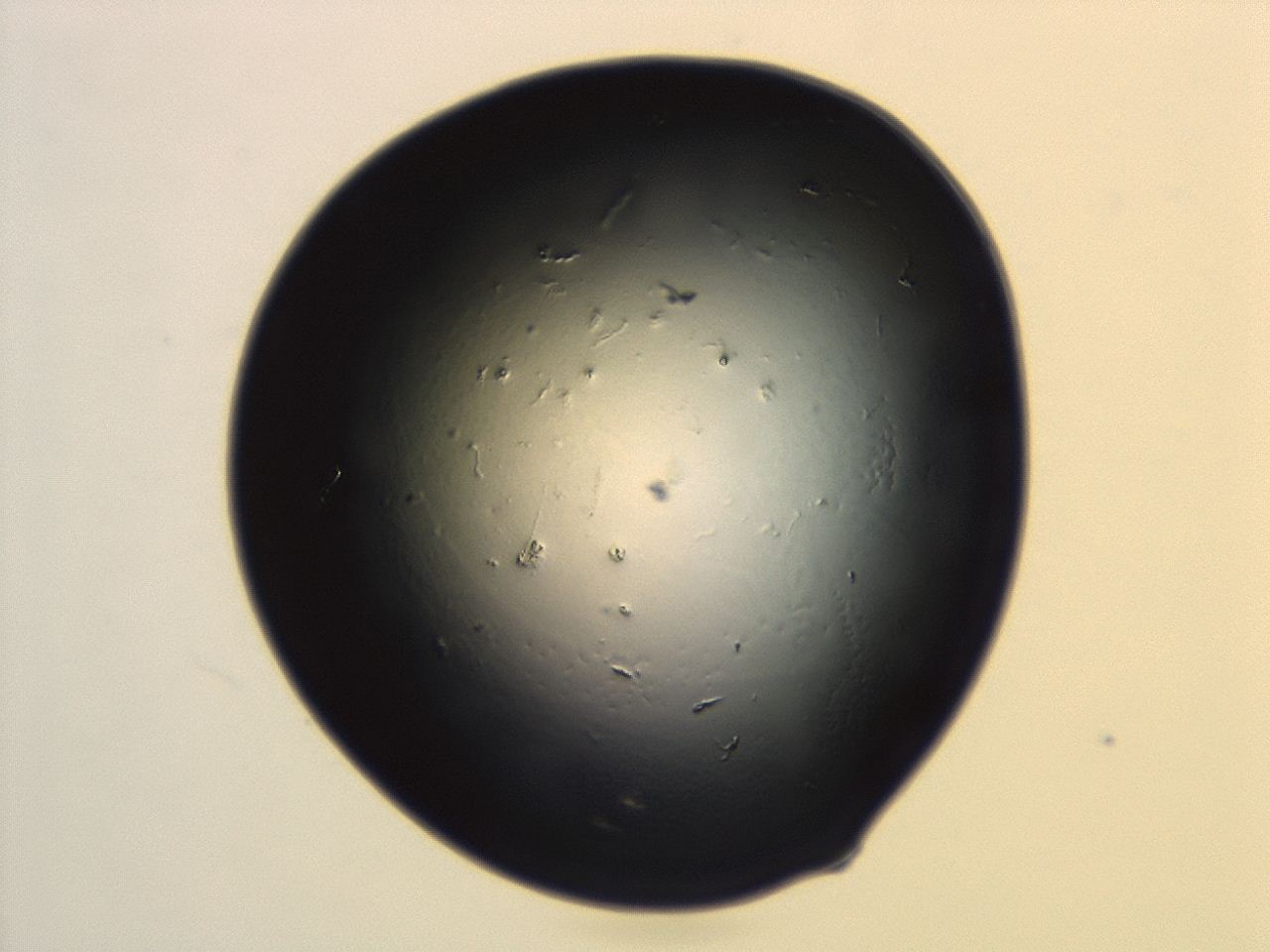 04cp_G2_ImagerDefaults_1.jpg