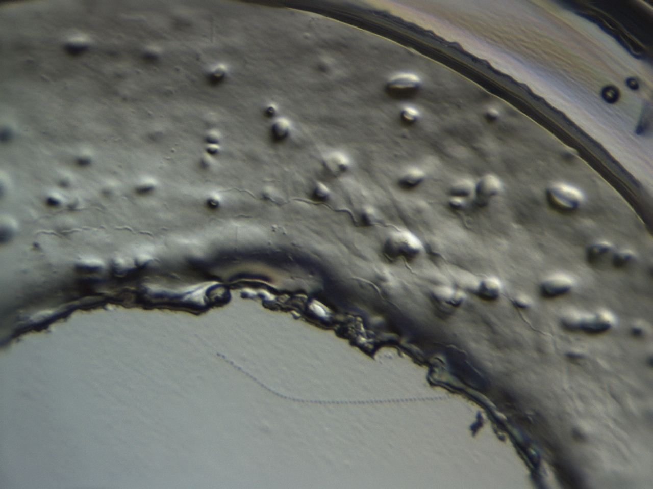 04cp_G3_ImagerDefaults_3.jpg