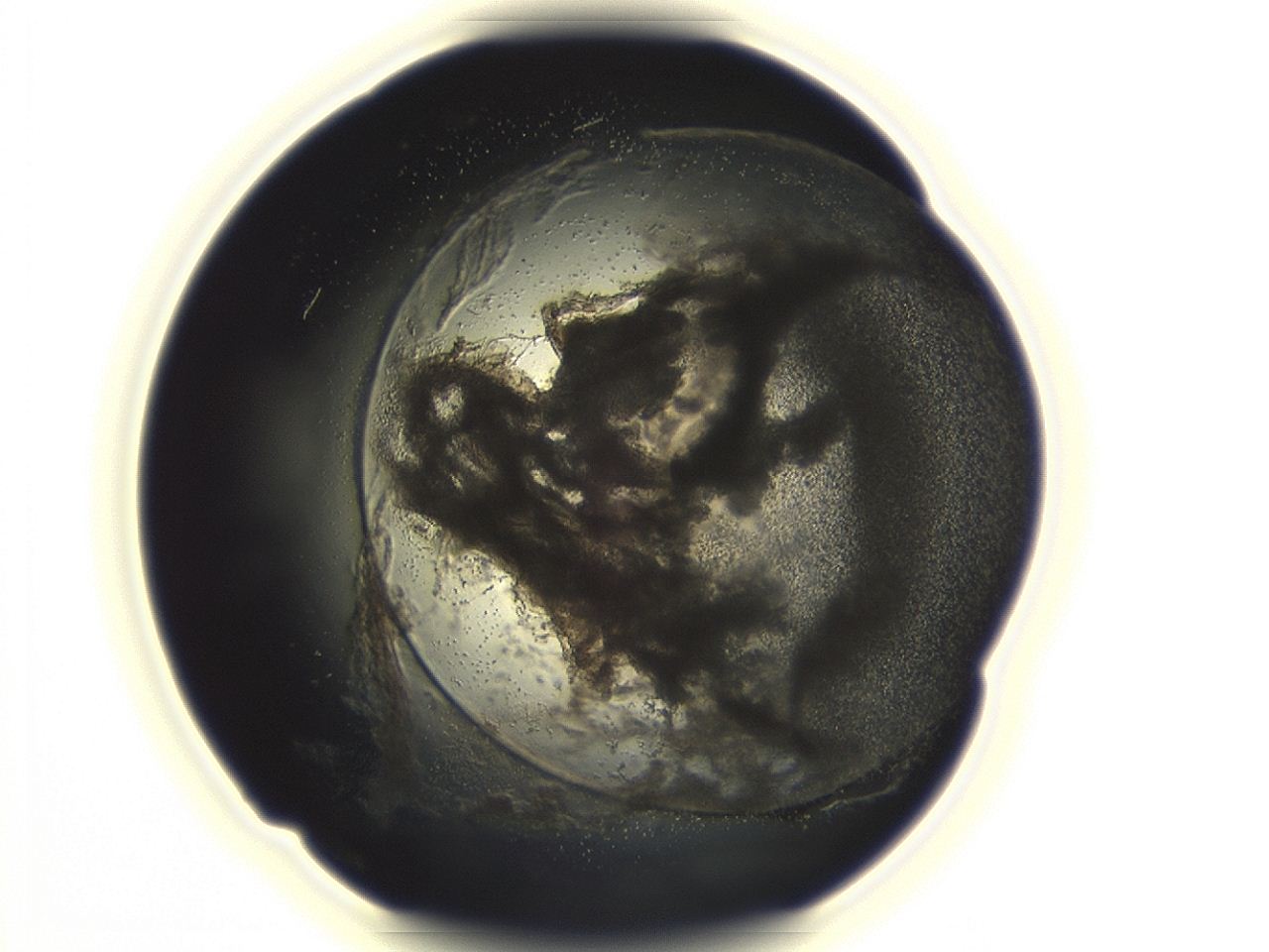 04cp_G10_ImagerDefaults_3.jpg