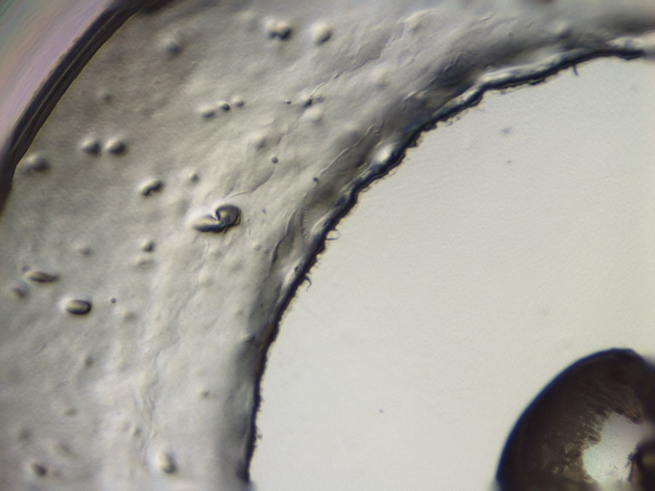 04cp_G11_ImagerDefaults_3.jpg
