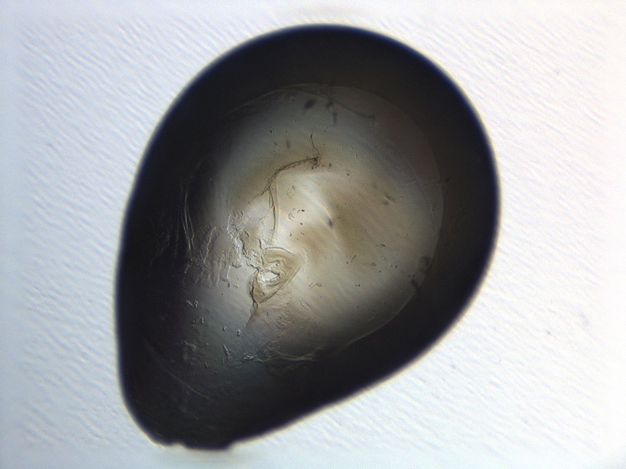04cp_H5_ImagerDefaults_3.jpg