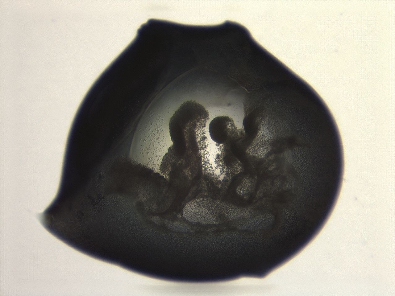 04cp_H7_ImagerDefaults_3.jpg