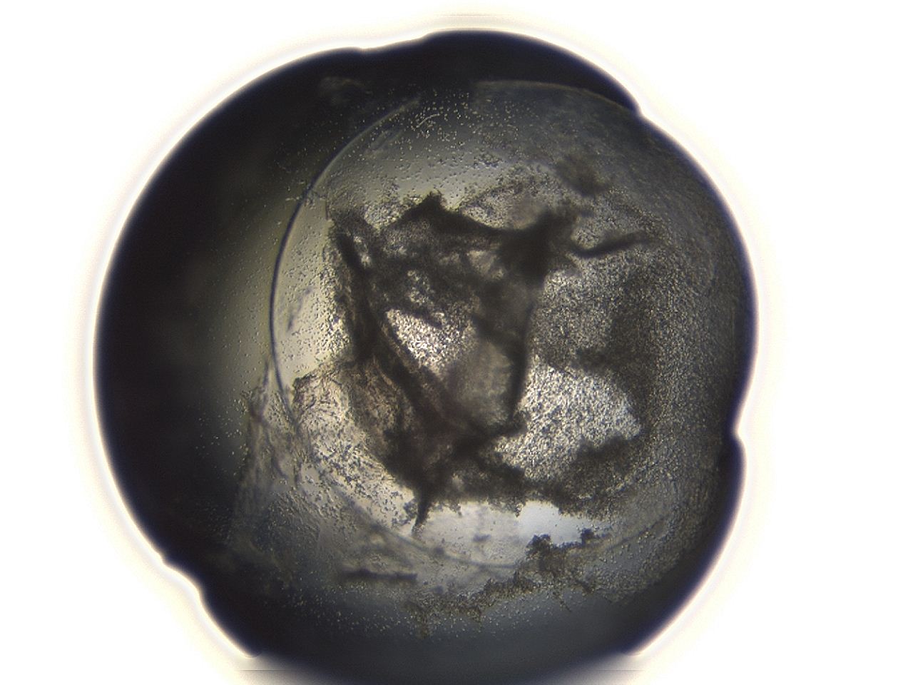 04cp_H10_ImagerDefaults_3.jpg