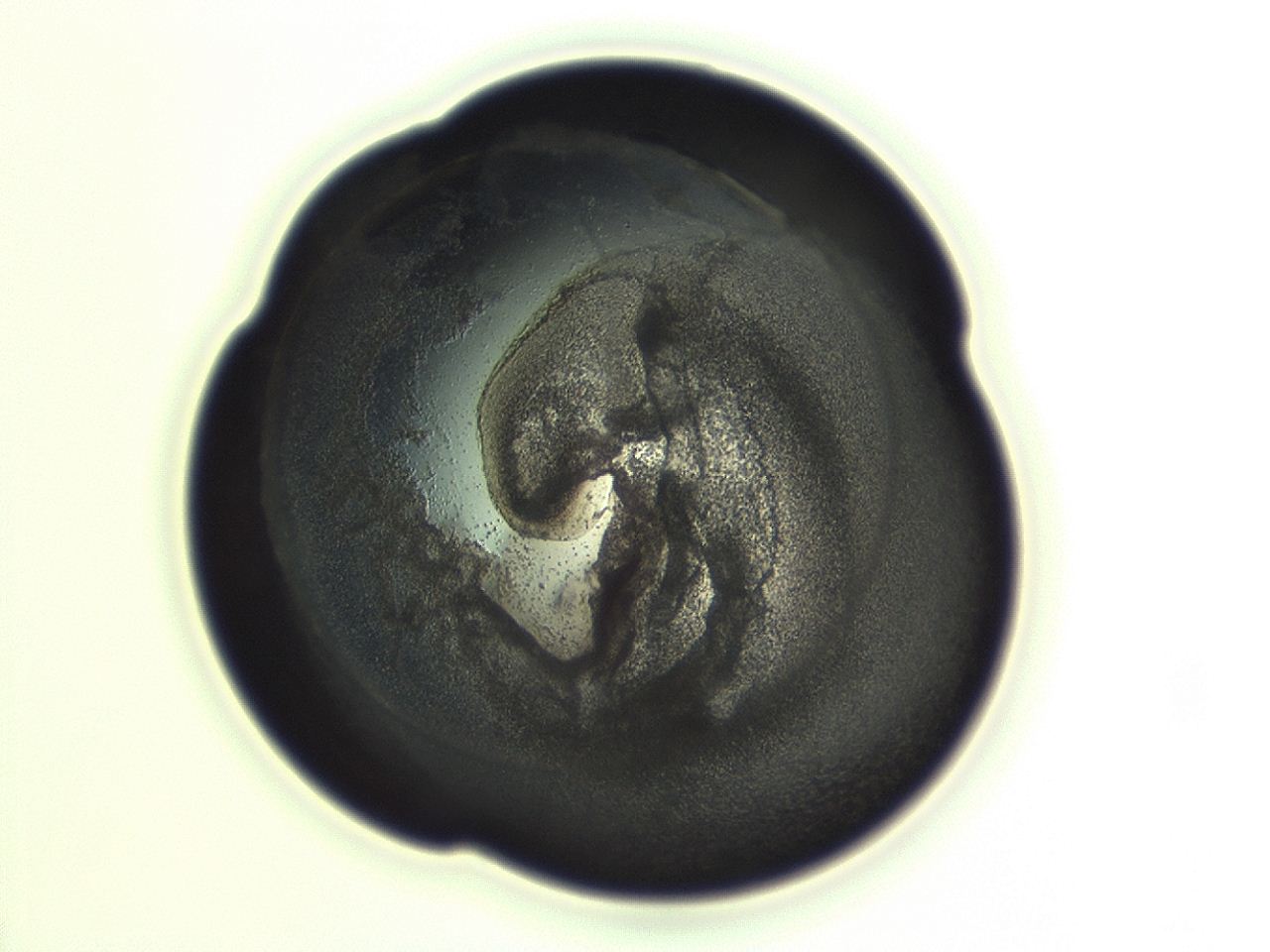 04cp_H11_ImagerDefaults_3.jpg