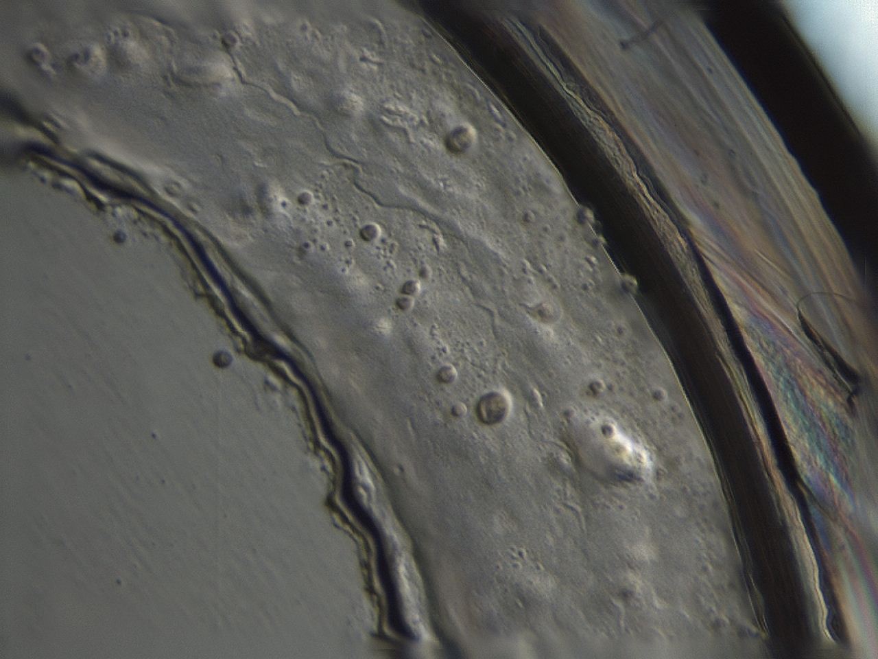 04cp_H12_ImagerDefaults_3.jpg
