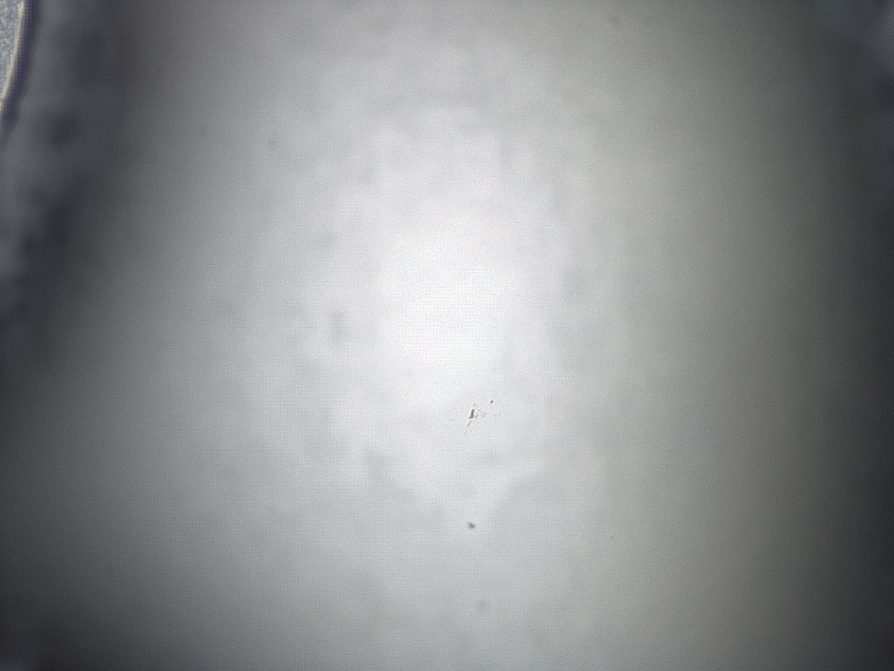 04cq_C2_ImagerDefaults_0.jpg