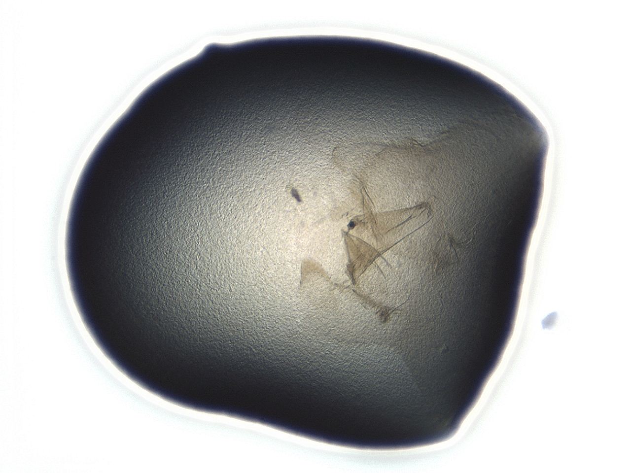 04cq_C1_ImagerDefaults_3.jpg