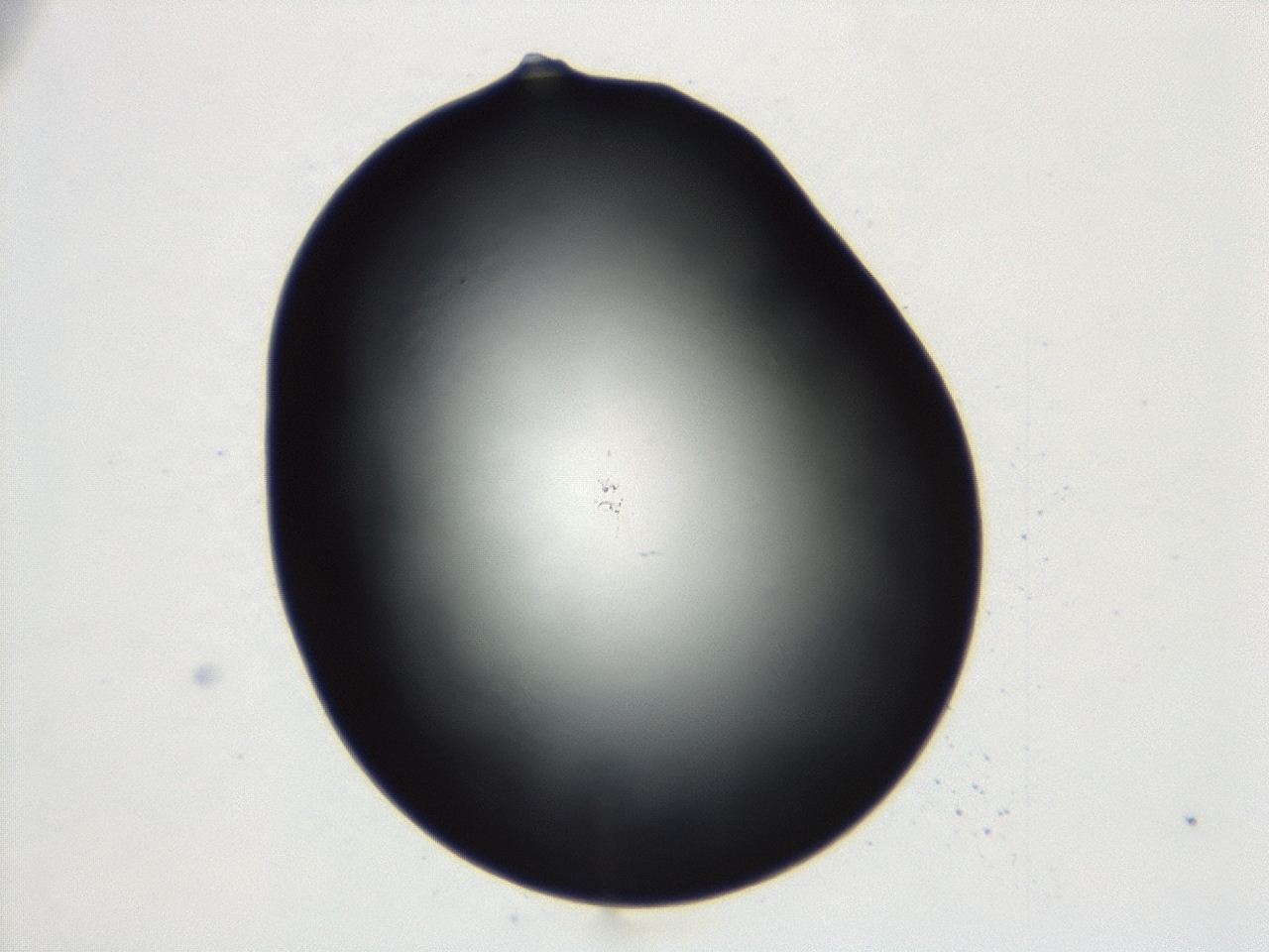 04cq_C4_ImagerDefaults_0.jpg