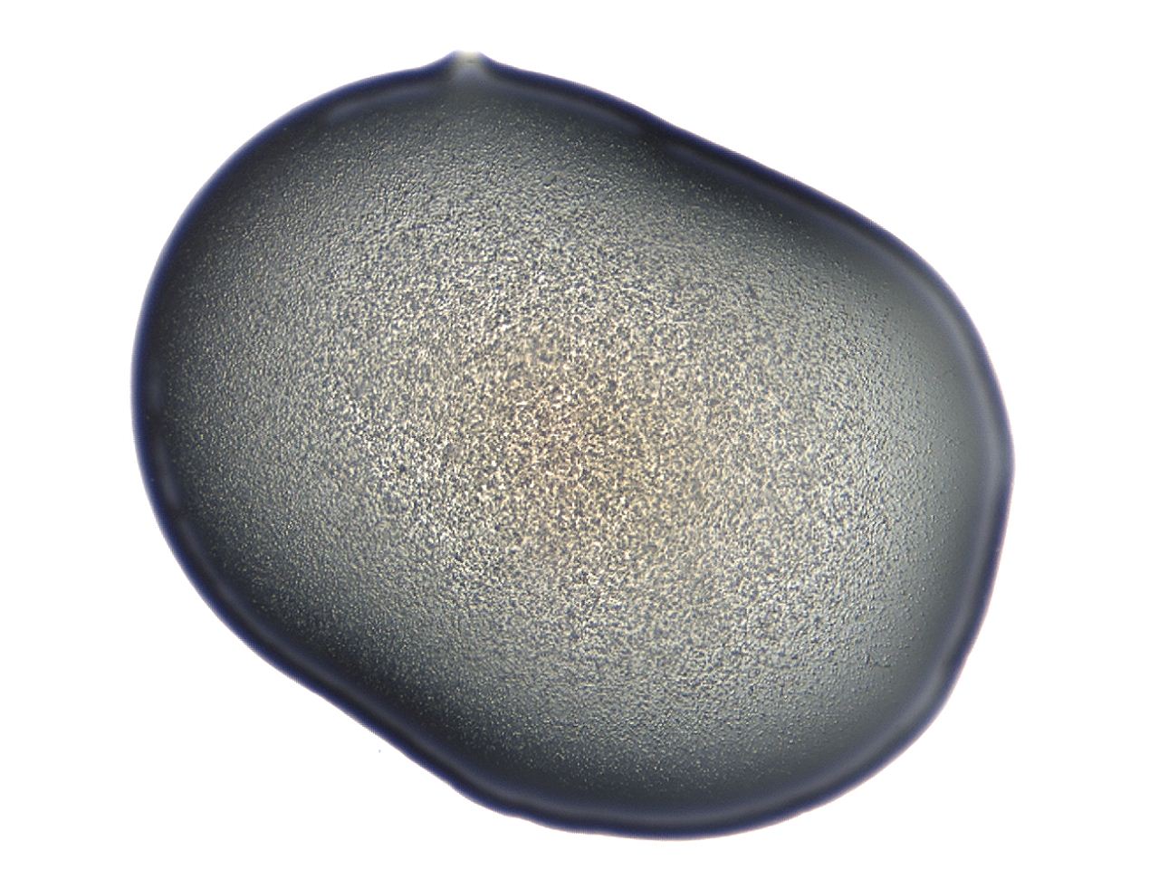 04cq_C7_ImagerDefaults_3.jpg