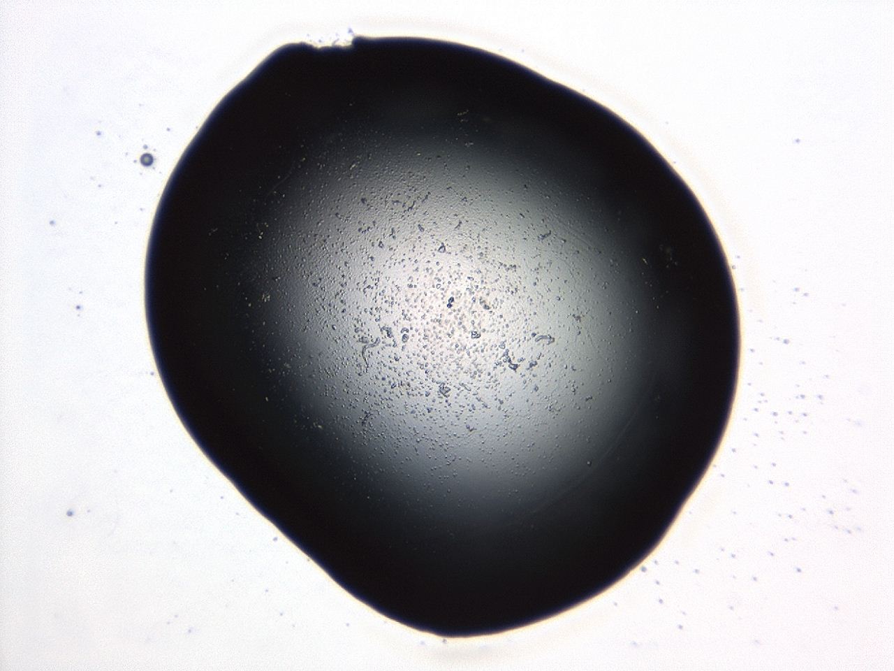 04cq_C10_ImagerDefaults_3.jpg
