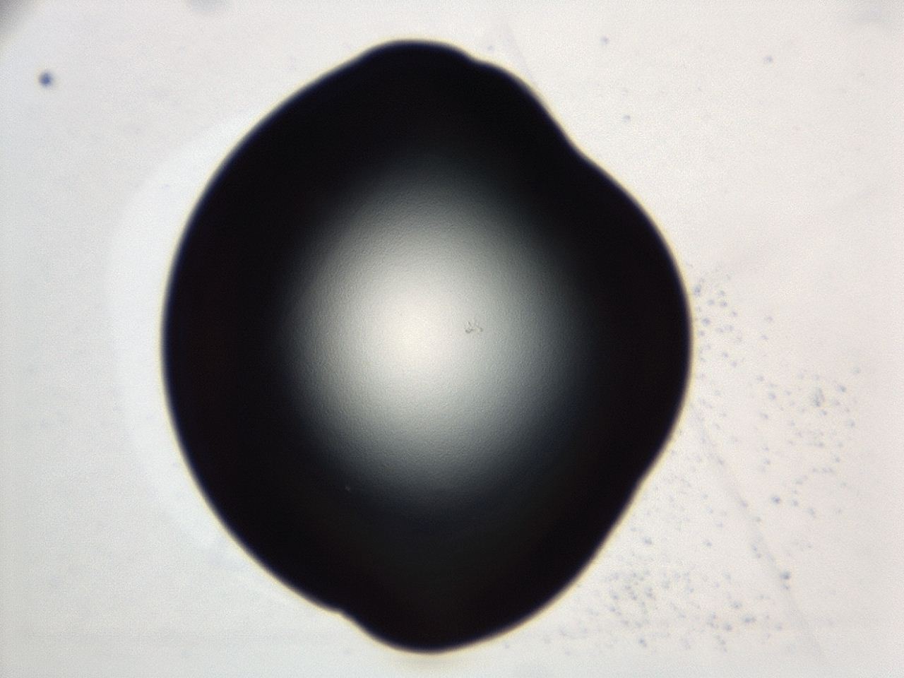 04cq_C11_ImagerDefaults_0.jpg