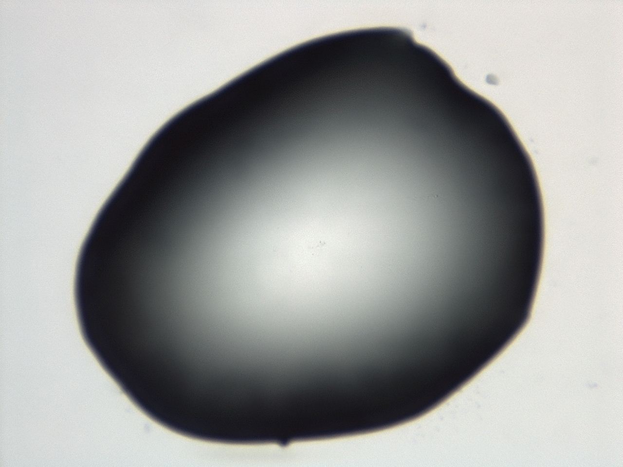 04cq_D1_ImagerDefaults_0.jpg
