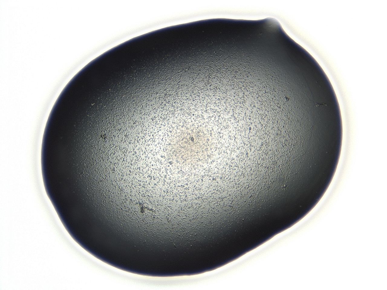 04cq_D5_ImagerDefaults_3.jpg