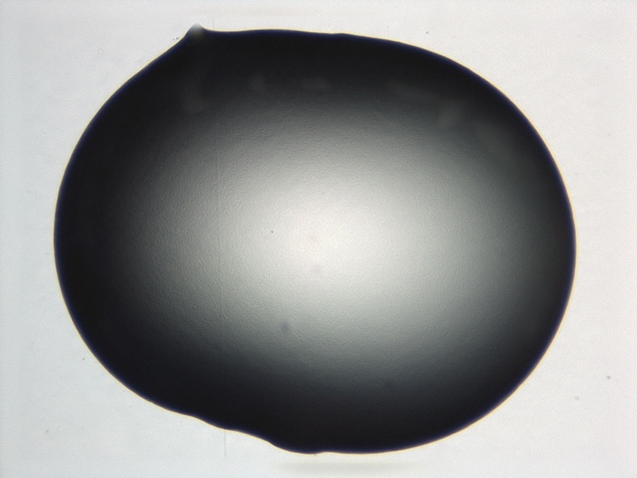 04cq_D7_ImagerDefaults_0.jpg