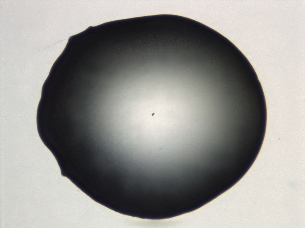 04cq_D8_ImagerDefaults_0.jpg