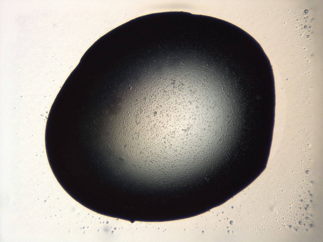 04cq_A1_ImagerDefaults_3.jpg