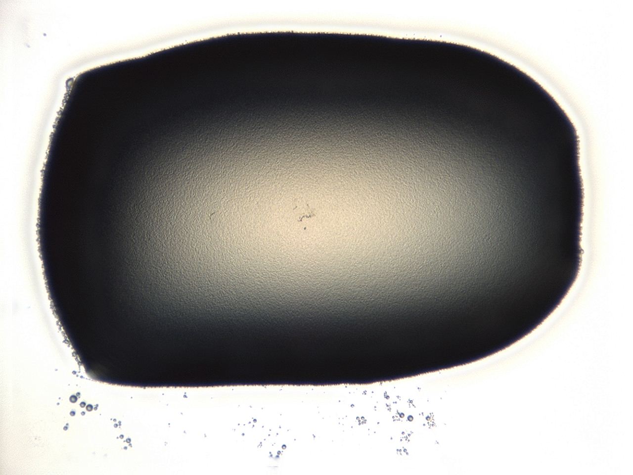 04cq_A3_ImagerDefaults_0.jpg