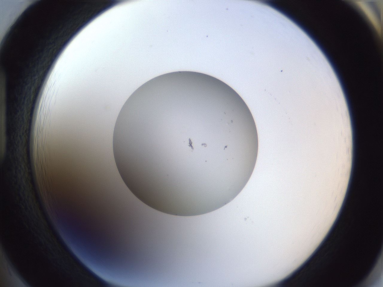folderID91_plateID1091_batchID2302_wellNum85_profileID1_d1_r48349_ef.jpg